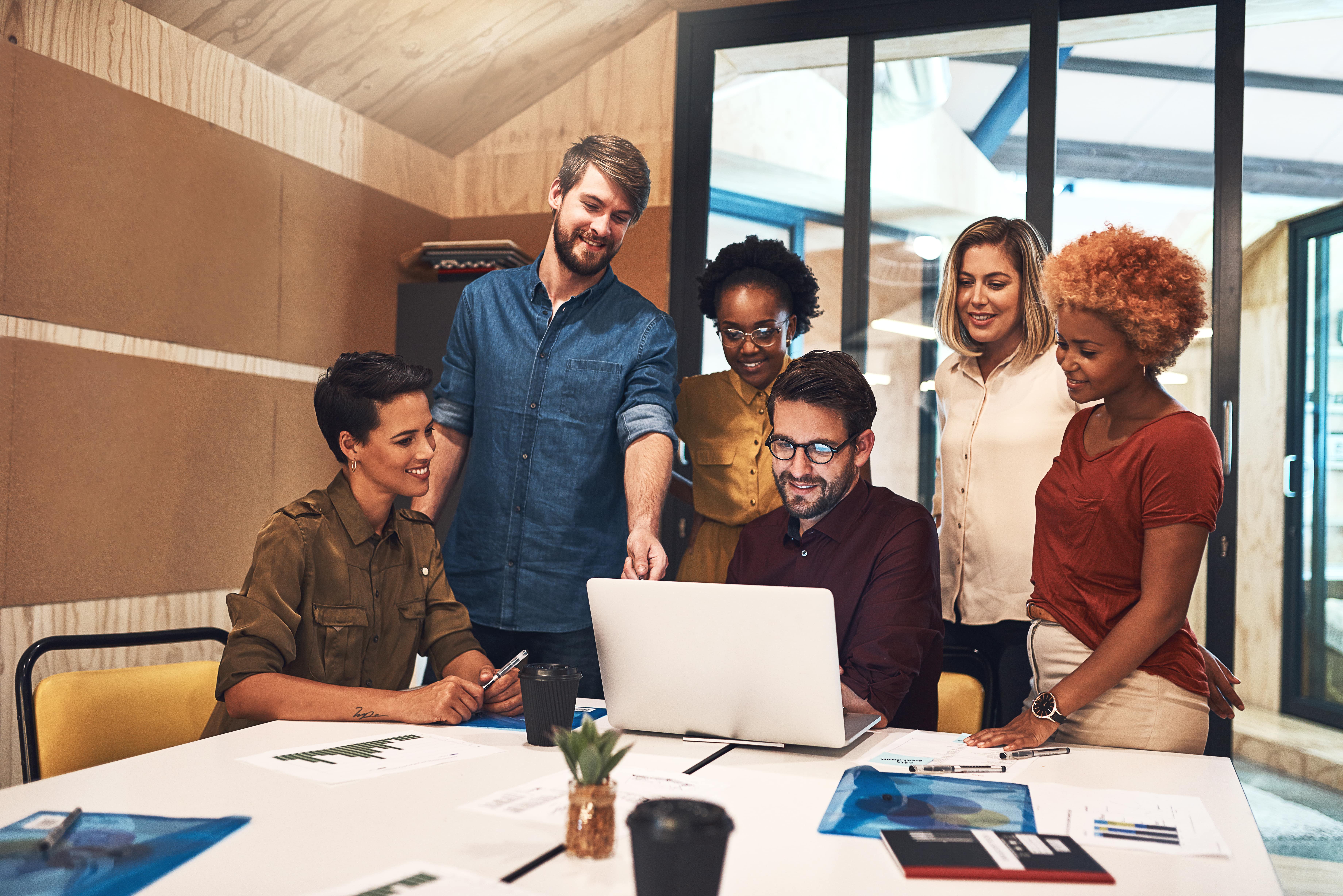 Shark Marketing Team Working